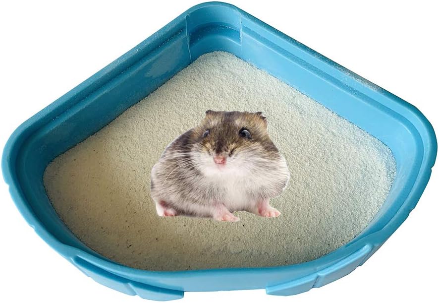 Hamster Picture 835 1000 Jpg - Amazon Com Janyoo Wood Hay ...