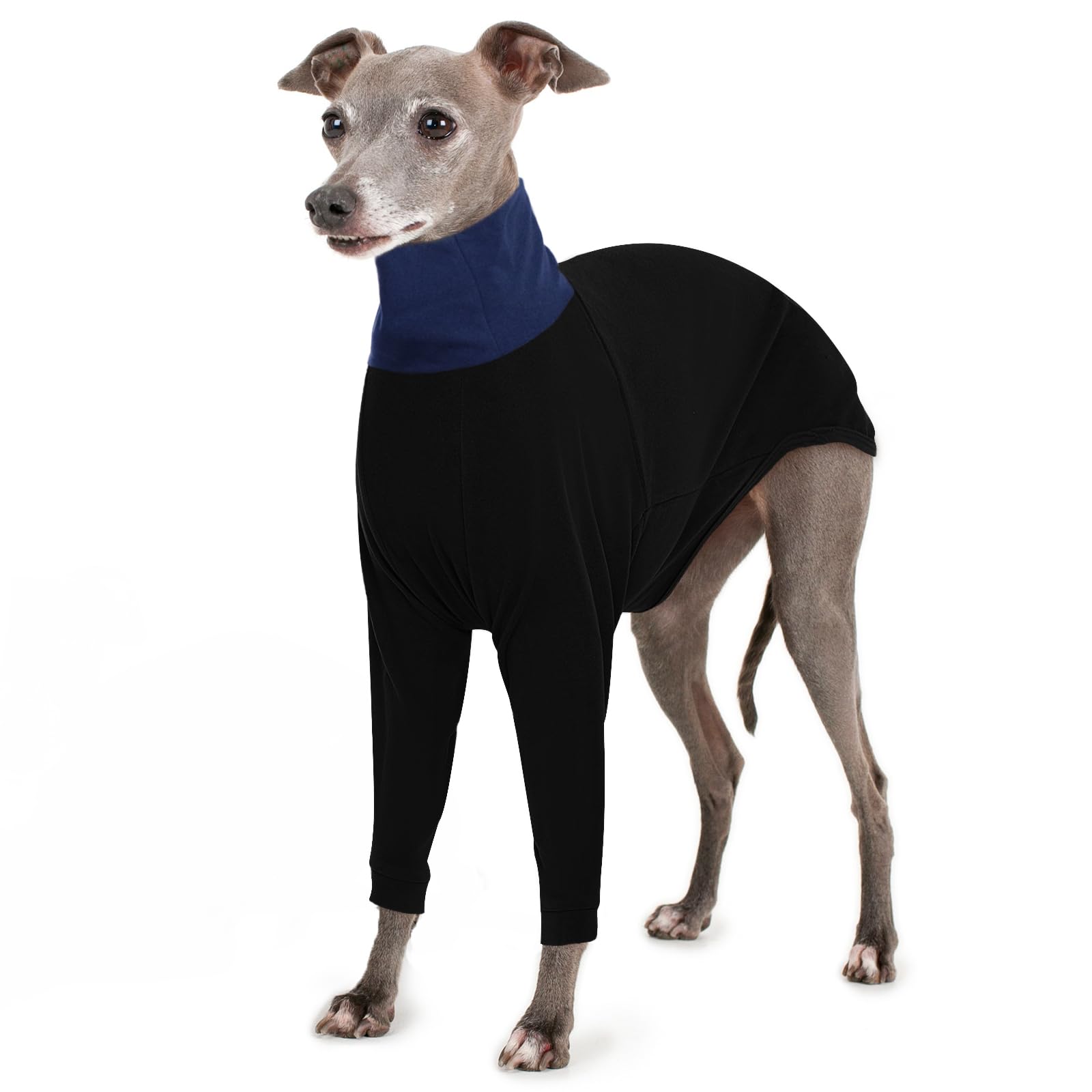 Photo 1 of IECOii Greyhound Sweater,Turtleneck Dog Sweater for Greyhound, Small