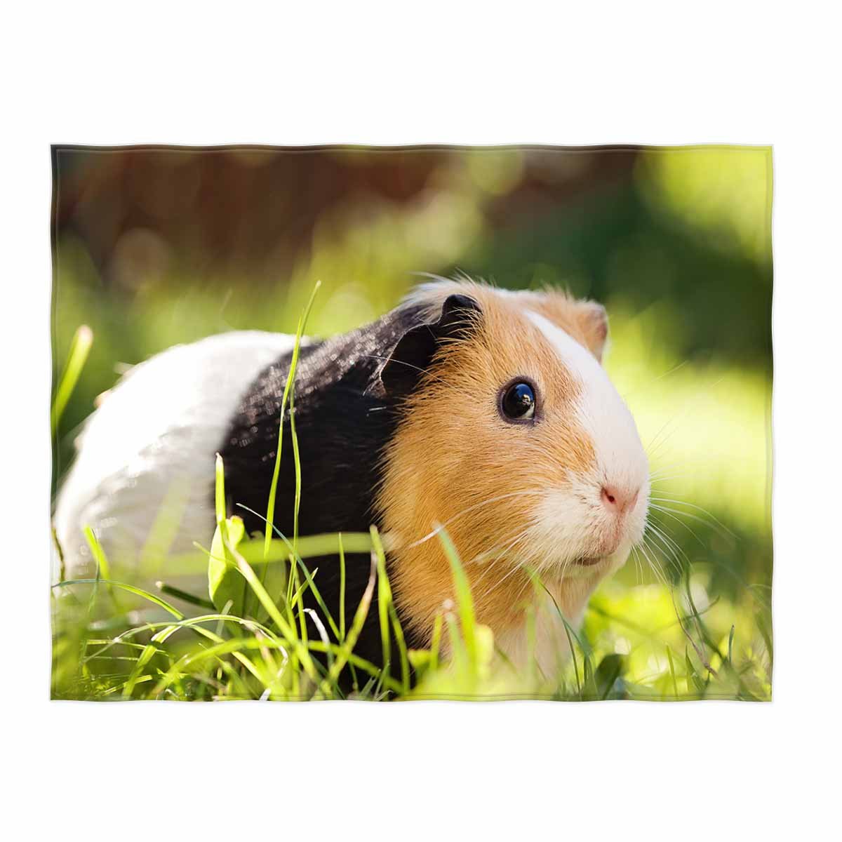 QH Guinea Pig Pattern Throw Personalized Stylish Fuzzy Soft