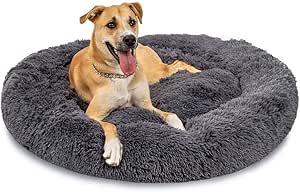 cama perro amazon