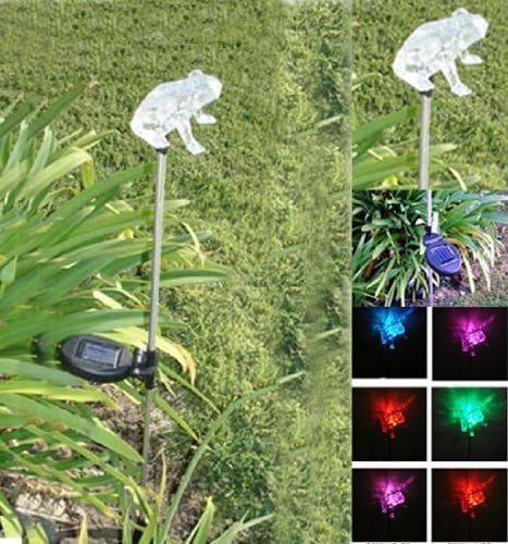 Amazon Com Solar Powered Frog Garden Yard Decor Stake Color