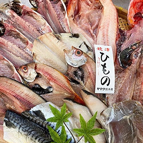 Amazon Amazon開店記念 送料無料 朝干し 無添加 干物 ひもの 超豪華10種セット のどぐろ入り 産地直送 干物のヤマクニ水産 干物 燻製 通販