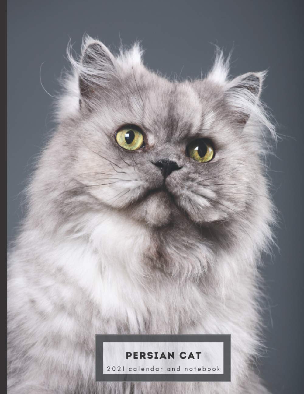 Persian Cat 21 Calendar And Notebook Dual Layout Months And College Ruled Line Paper Great Gift For People Who Love Cats Nielsen Ava O Amazon Com Books