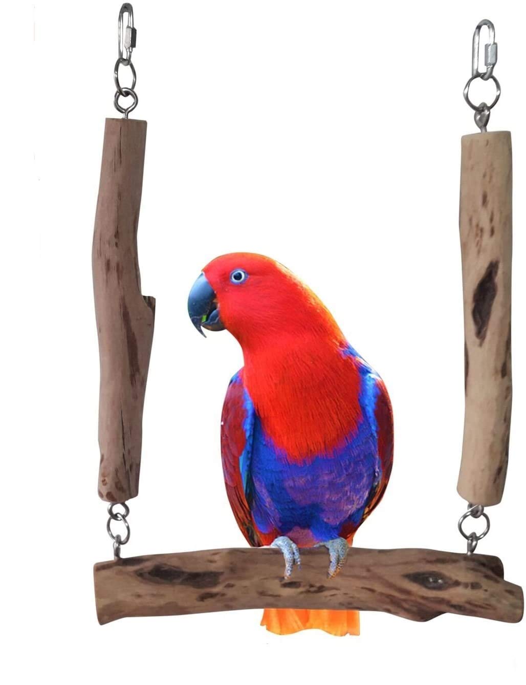large bird swing