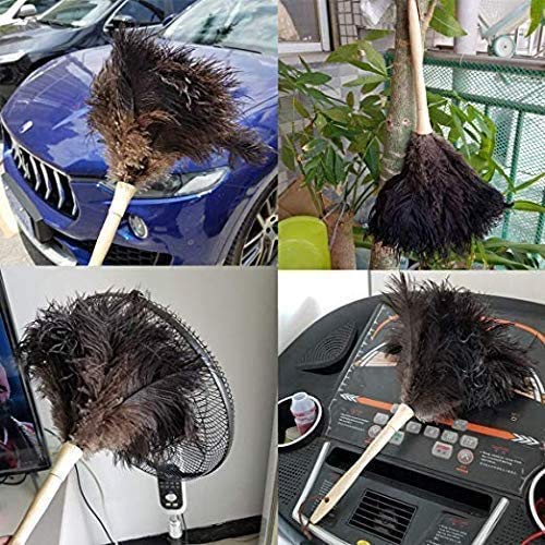 Feather Duster, Ostrich Feather Duster Fluffy Natural Genuine Ostrich Feathers and EcoFriendly