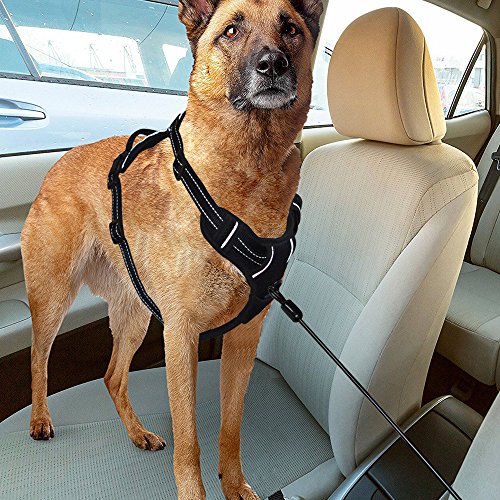 Dog Seat Belt Car Seatbelts for dog Restraint Tether, Chew-proof Cable Seatbelt for Large Dogs, Coated Cable Vehicle Seatbelts for Safety, Large Size - Thumbnail 6