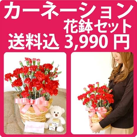 Amazon Co Jp カーネーション花鉢セット 癒しの入浴剤とかわいいクマさんついてくる 母の日当日のお届けは終了しました ホーム キッチン