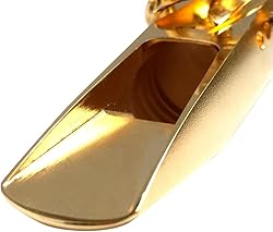 Theo Wanne SHIVA Gold-Plated Tenor Saxophone
