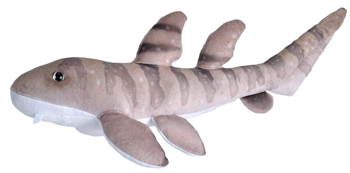 WILD REPUBLIC 23417 Living Ocean Mini, Bamboo Shark, Small