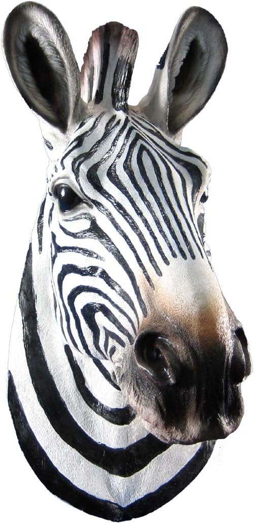 African Zebra Head Mount Wall Statue Bust Home & Kitchen