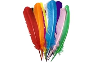 Lot de 24 plumes de dinde colorées de 25,4 à 30,5 cm de long, 12 couleurs, plumes naturelles colorées pour travaux manuels (2