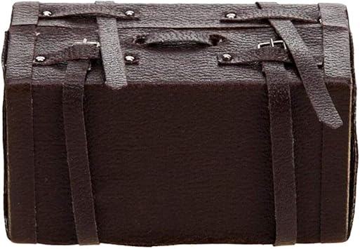 rc truck carrying case