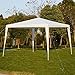 10'x10'Outdoor Canopy Party Wedding Tent Garden Gazebo Pavilion Cater Events (White)