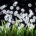 VMANOO Battery Operated Outdoor String Lights 200 LED Fairy Christmas Lighting Decor Timer for Indoor Garden Patio Lawn Holiday Wedding Xmas Decorations (White)