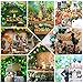 145 Pack Dinosaur Party Supplies Set Serves 16，Dinosaur Birthday Packs Including Flatware，Spoons , Plates , tablecloth，Cups，Straws，Napkins，invitation cards，Perfect Dinosaur Party Favor Pack Set for Kids Girl Boy Baby