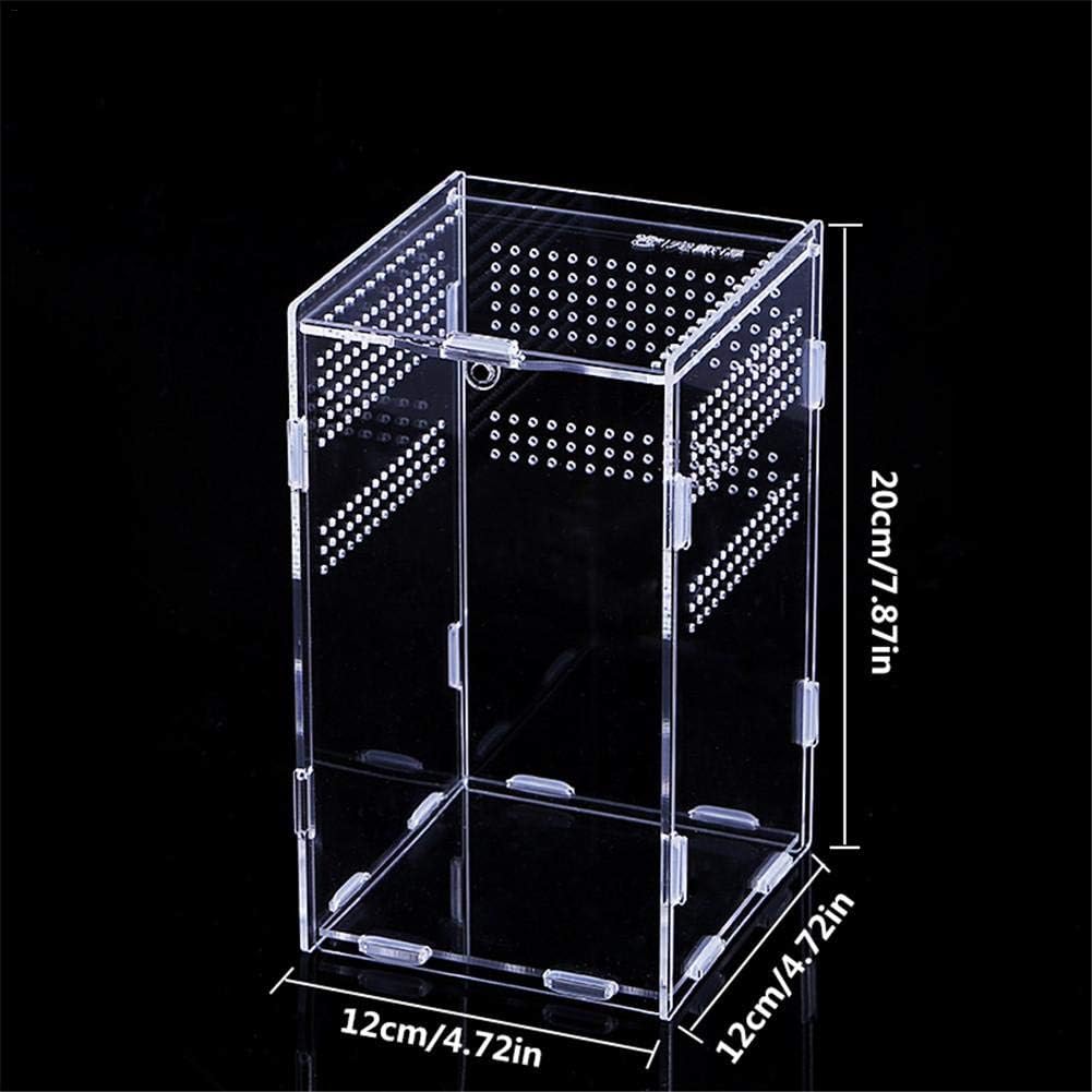 acrylic reptile enclosure