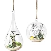 Mkono 2 Pack Glass Hanging Planter Air Fern Holder Terrarium Plants Hanger Vase Home Christmas Decoration Gift Idea for Succu