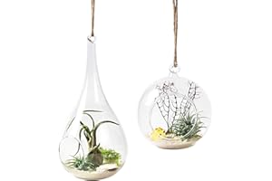 Mkono 2 Pack Hanging Airplant Holder Terrarium Glass Planter Flower Plant Pot - Orb and Teardrop