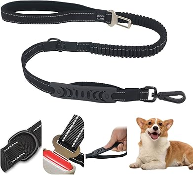 dog leads amazon
