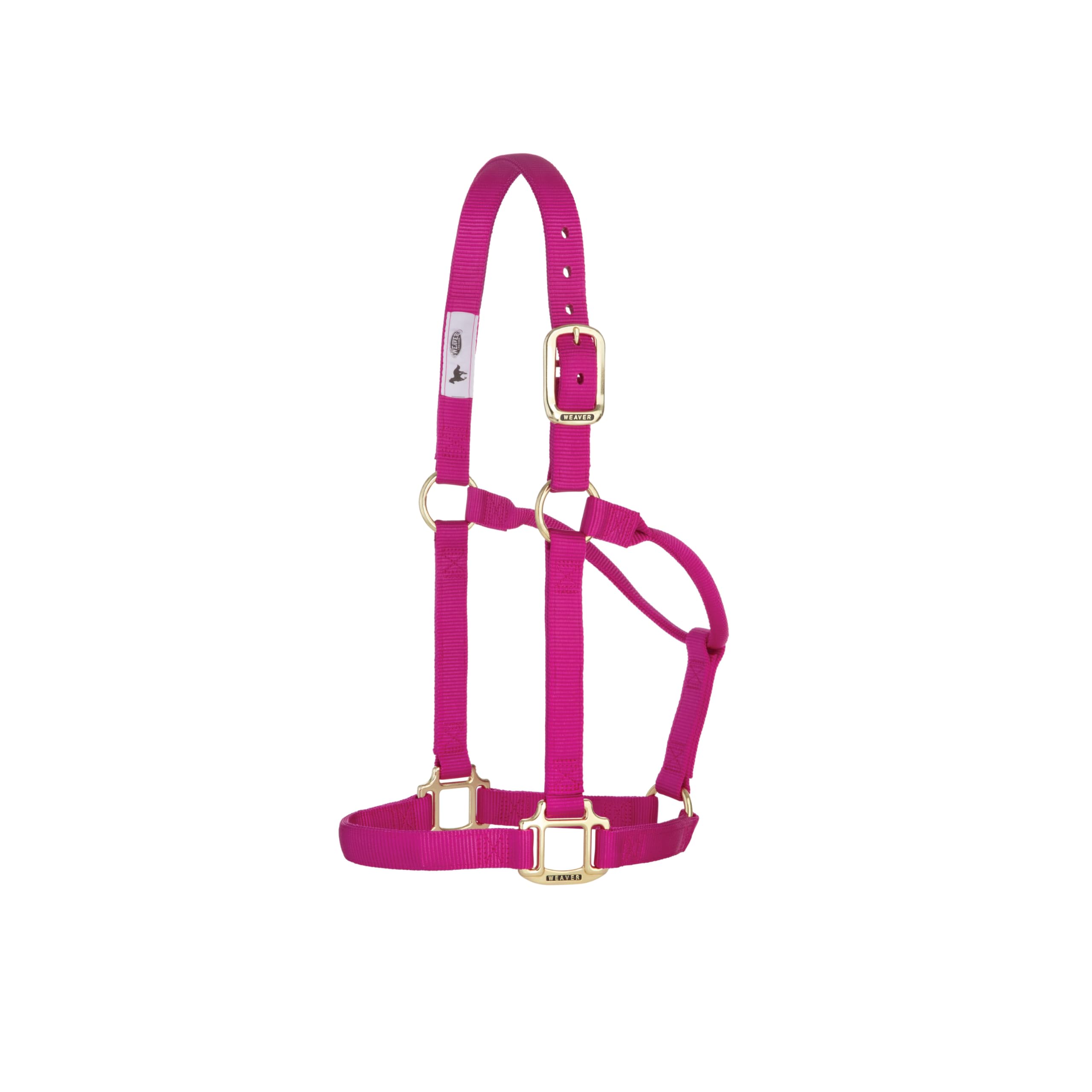 Weaver Leather Original Non Adjustable Halter (Raspberry, Avarage Horse/Yearling Draft)