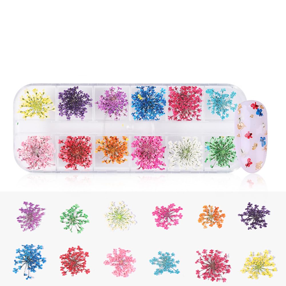 Raguso 12 Colors Natural Nail Dry Flowers Decor Manicure Sunflower Sticker Nail Decoration Art DIY Tool Supplies (A)