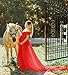 Saslax Maternity Half Circle Off Shoulder Short Sleeves Gown Maxi Bridesmaid Dress for Photos Shoot Red L