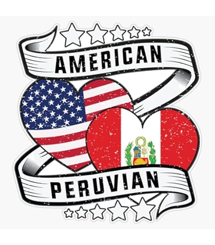 Invincible Stickers Funny Bumper Sticker Decal - "America, I Love You But You're Freaking Me Out" America Sticker - Foto 8