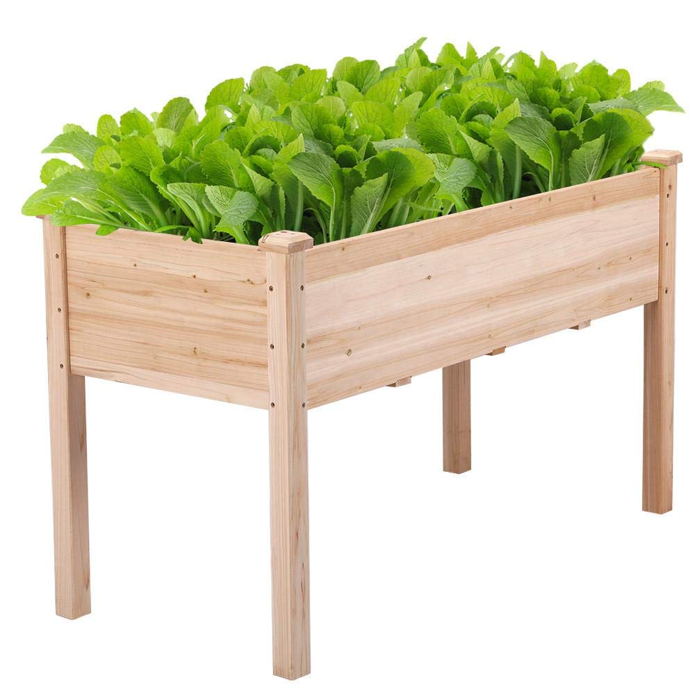 Best Garden Bed Kit 3X6