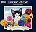 The LANG Companies American Cat 2019 Wall Calendar (19991001889)