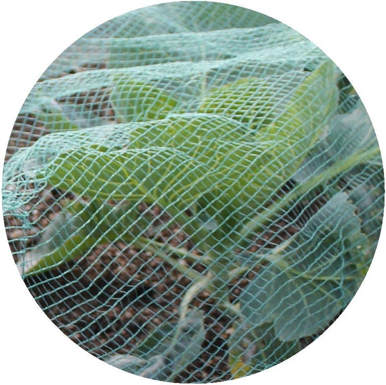 Soft Green Anti Butterfly Netting for Garden Fruit Crop Protection (3m