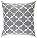 TreeWool Trellis Accent Spring Summer 20x20 Set of 2 Decorative Throw Pillow Covers 100% Cotton Home Decor Pillowcases for Sofa Couch (Graphite Gray)