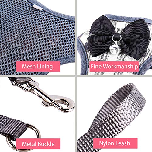 image for RYPET Small Dog Harness and Leash Set - No Pull Pet Harness with Soft 