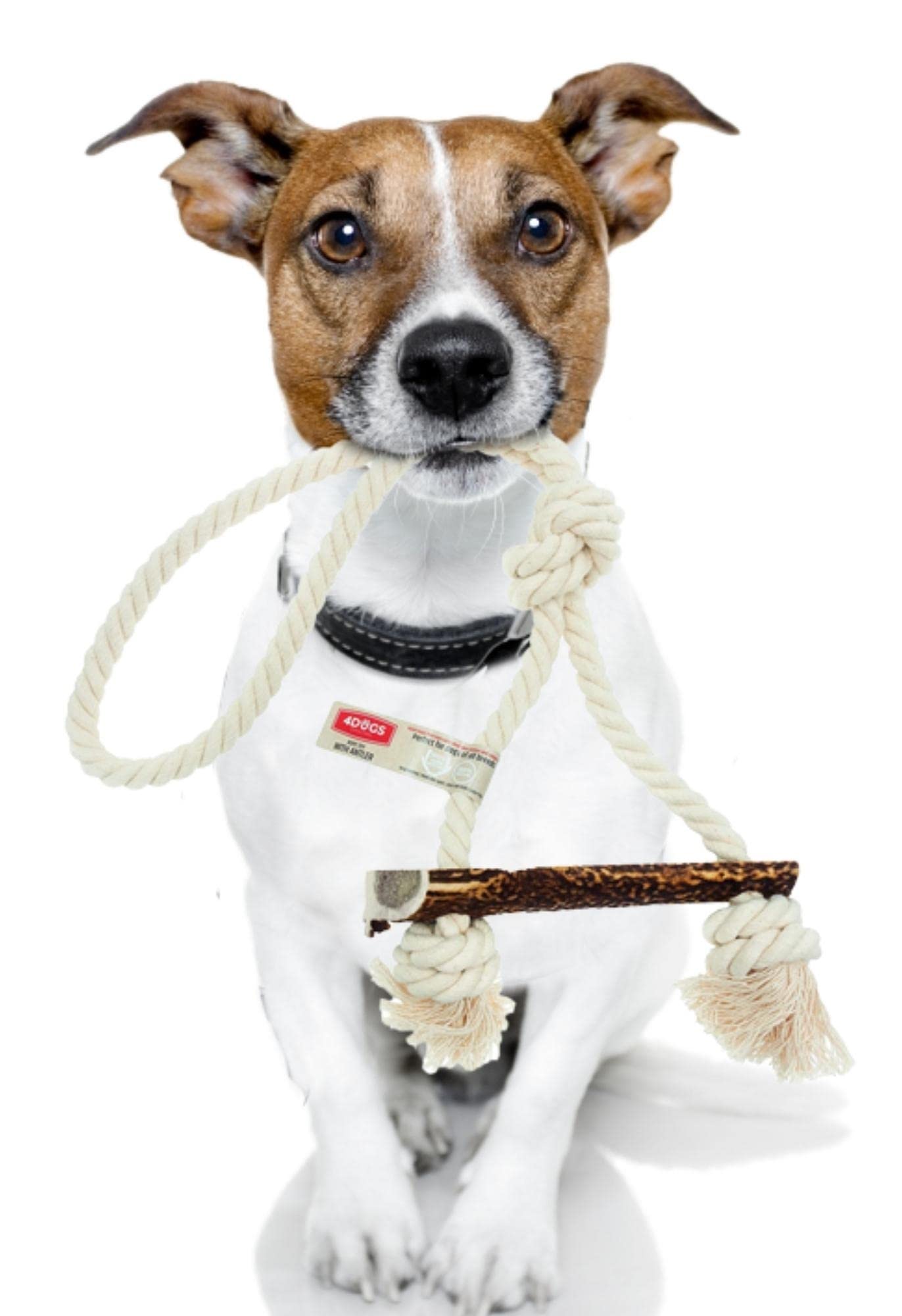 4DOGS Indestructible Dog Rope Toy for Dog Teeth Cleaning Combined with Natural Dog Chew Antler, This is 100% Natural Gluten Free, GMO Free Dog Toys - 1 Piece Knot Easily Chewable- XL