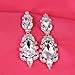 Miraculous Garden Women's Silver Gold Rose Gold Tone Plated Crystal Rhinestone Drop Earrings for Mother's Day (Silver tone plated white crystal)