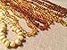 Baltic Amber Teething Bracelet for Babies (Unisex) (Multi) - Baby, Infant, and Toddlers will all benefit. Raw Unpolished Multi Anti Flammatory, Drooling & Teething Pain Reduce Properties - Natural Certificated Oval Baltic Jewelry with the Highest Quality Guaranteed. Easy to Fastens with a Twist-in Screw Clasp Mothers Approved Remedies! Helps with soothing and insomnia, stress, and some reflux & eczema.