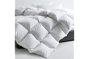 ROZIDC All-Season Goose Down Feather Duvet, 100% Cotton Shell Queen Size Duvet Insert, 750+ Fill Power Down Comforter,Oeko TE