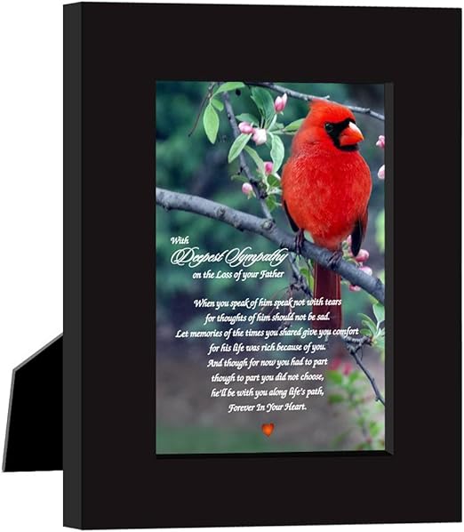 Amazon Com Sympathy Gift With Deepest Sympathy On The Loss Of