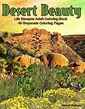 Desert Beauty: Life Escapes Adult Coloring Books 48 grayscale coloring pages of South West Desert Scenes, Cactus, Grand Canyon, Painted Desert, Native Arizona Flowers and more by Kimberly Hawthorne