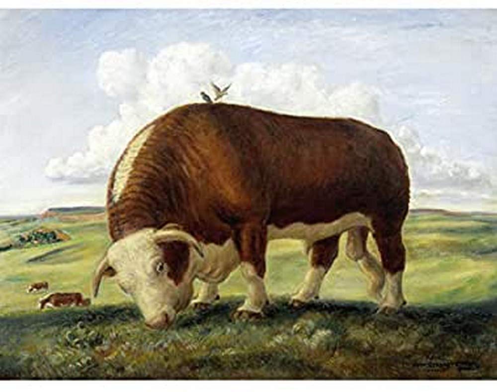 Curry Ajax Hereford Bull Cow Birds Landscape Painting Art Print Canvas Premium Wall Decor Poster Mural