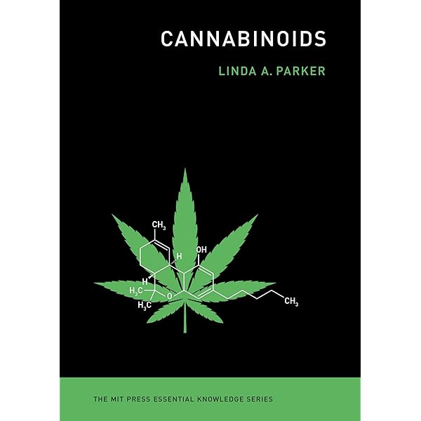 Cannabinoids: What You Need to Know about CBD, CBG, CBN, Delta-8