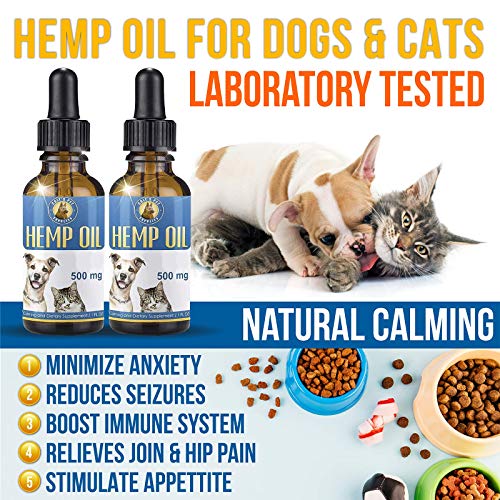 Hemp Oil for Dogs and Cats The Perfect Hemp for Dogs with Anxiety and