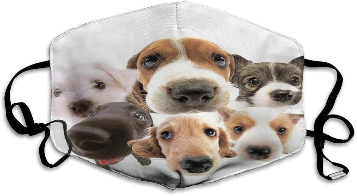 Anti Dust Mask Puppy Head Larger Photo Funny Dog Face Cover