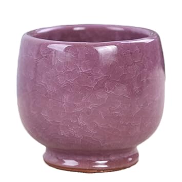 Amazon Co Jp Outflower 植木鉢 おしゃれ 陶器 室内 安い 多肉植物