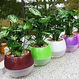 Mkono 5 Pack Self Watering Planter Plastic Flower Pot 5 Inch (Mixed Colors)