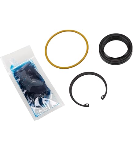 Schaeffler Steering Gear Pitman Shaft Seal SS3649 - View #11