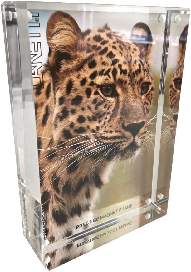 Canetti Original Magnet Frame 2x4 Prestige Magnetic Picture Frame, Floating Photo Frame, Two Acrylic Panels Gold