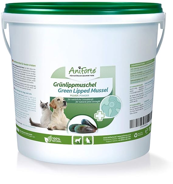 AniForte Grünlippmuschel-Pulver 1kg für Hunde und Katzen, Natürliches Gelenk-Pulver in Vollfett Qualität, Unterstützt Gelenke