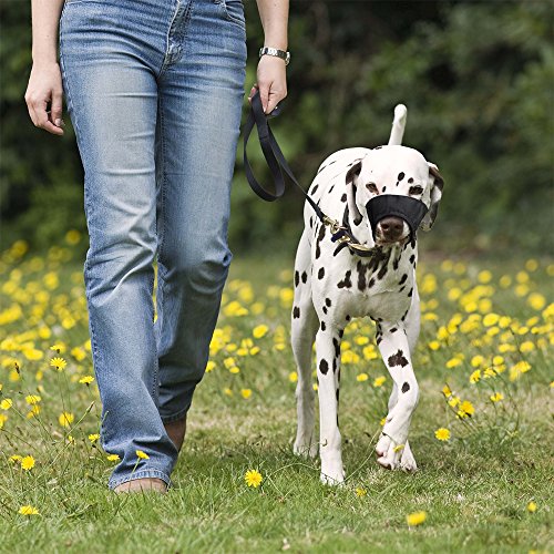 Weebo Pets Breathable Nylon Cloth Safety Muzzle (XS)