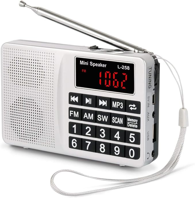 PRUNUS L258 Radio da Cucina, Radiolina Portatile FM/AM(MW) SW, Pulsante Grande e Ampio Display