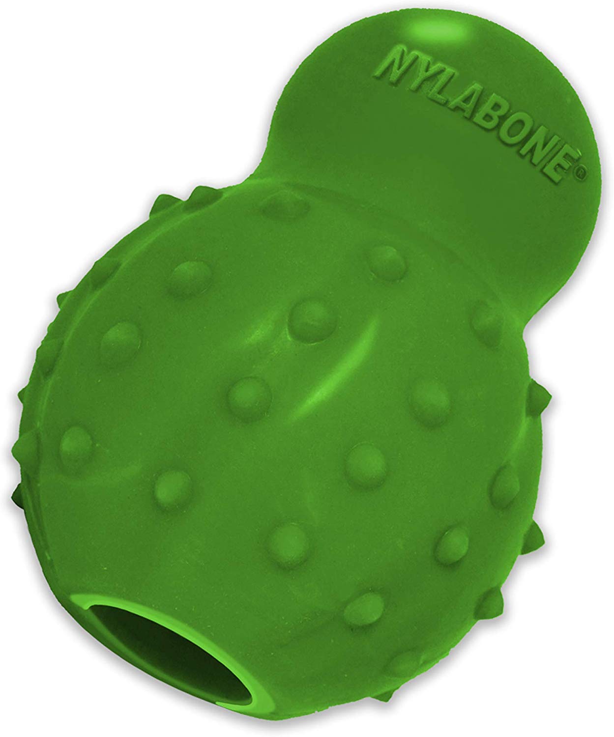 nylabone stuffable chew toy